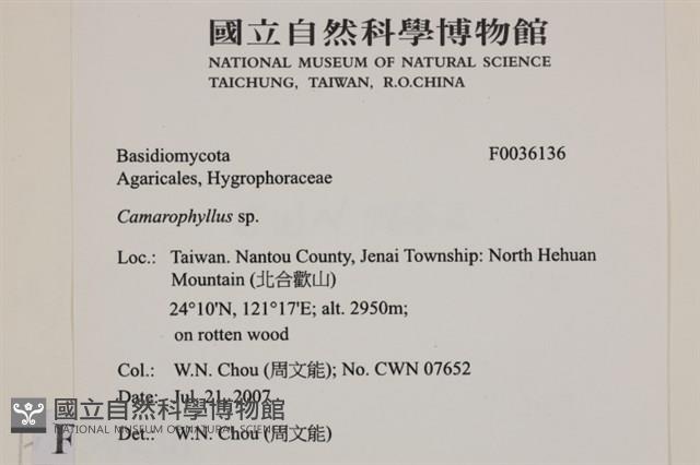 登錄號:F0036136藏品圖，第2張