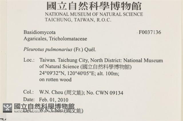 登錄號:F0037136藏品圖，第2張