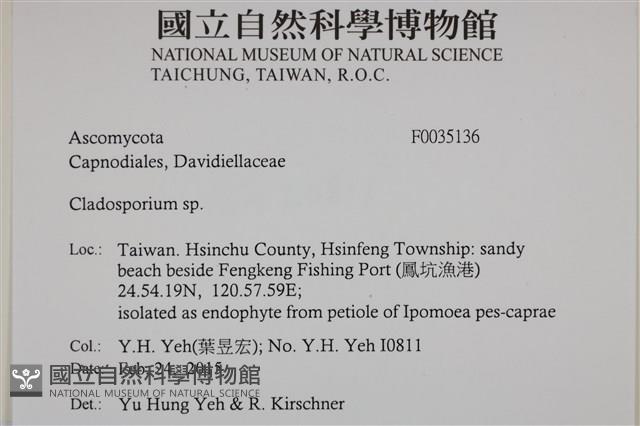 登錄號:F0035136藏品圖，第2張