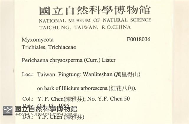 登錄號:F0018036藏品圖，第2張