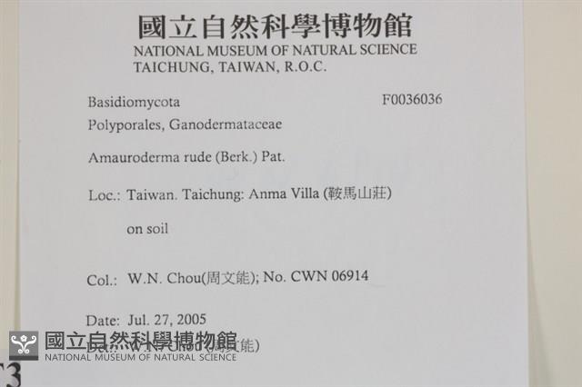 登錄號:F0036036藏品圖，第2張