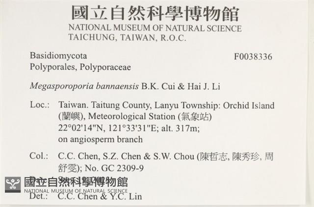 Accession Number:F0038336 Collection Image, Figure 2, Total 2 Figures