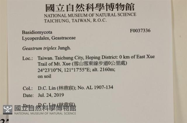 登錄號:F0037336藏品圖，第2張