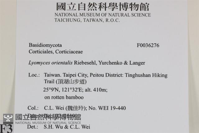 登錄號:F0036276藏品圖，第2張