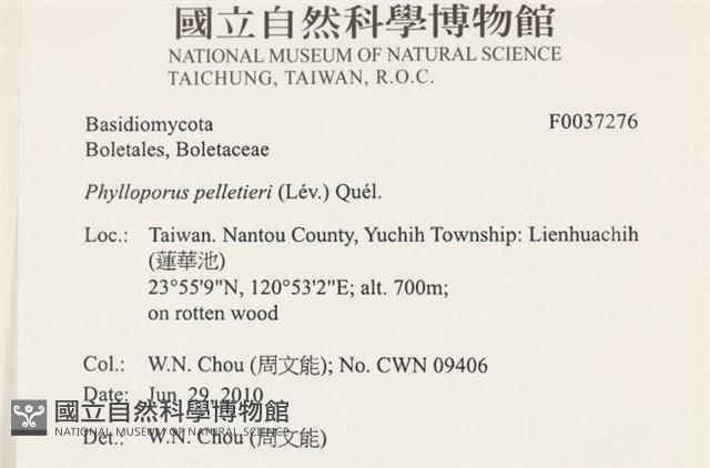登錄號:F0037276藏品圖，第2張
