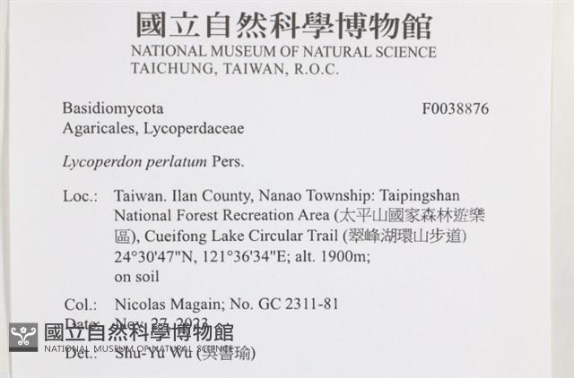 登錄號:F0038876藏品圖，第2張