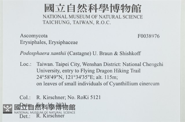 登錄號:F0038976藏品圖，第2張