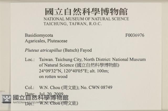 登錄號:F0036976藏品圖，第2張