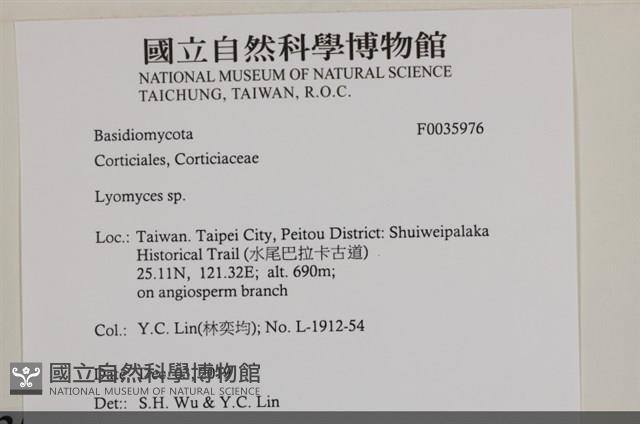 登錄號:F0035976藏品圖，第2張