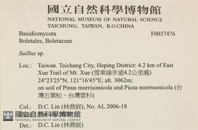 登錄號:F0037476藏品圖，第2張