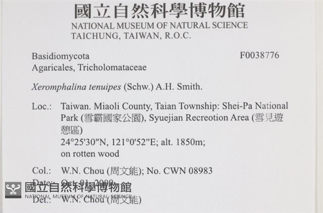 Accession Number:F0038776 Collection Image, Figure 2, Total 3 Figures