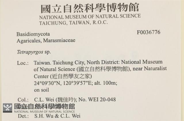 登錄號:F0036776藏品圖，第2張