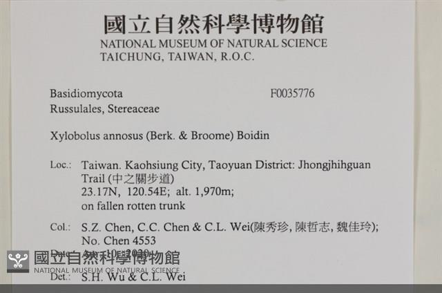 登錄號:F0035776藏品圖，第2張