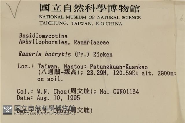 登錄號:F0003776藏品圖，第5張