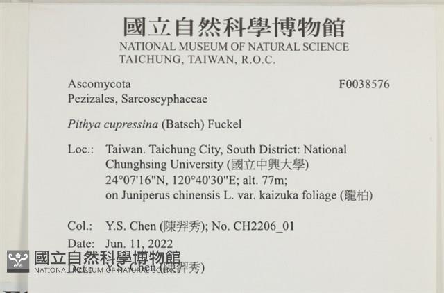 登錄號:F0038576藏品圖，第2張