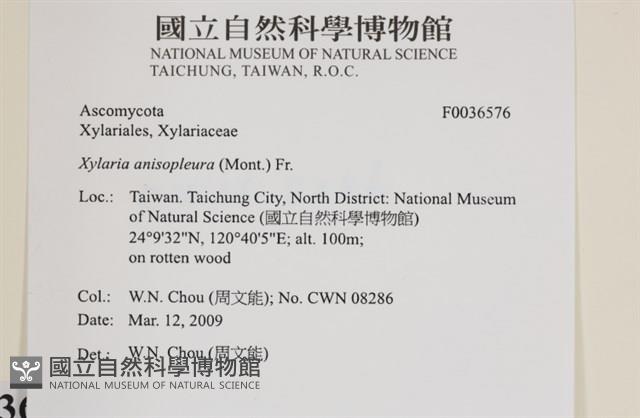 登錄號:F0036576藏品圖，第2張