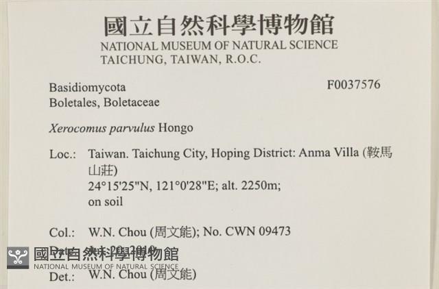登錄號:F0037576藏品圖，第2張
