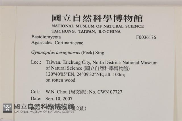 登錄號:F0036176藏品圖，第2張