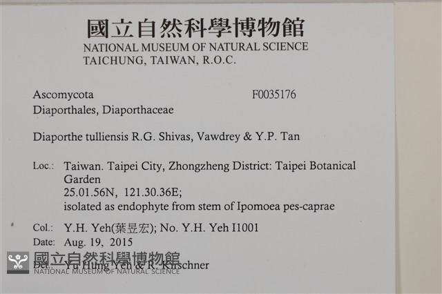 登錄號:F0035176藏品圖，第2張