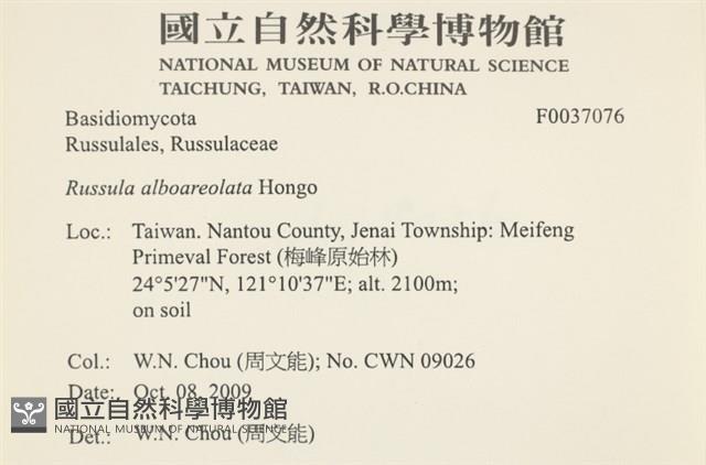 登錄號:F0037076藏品圖，第2張