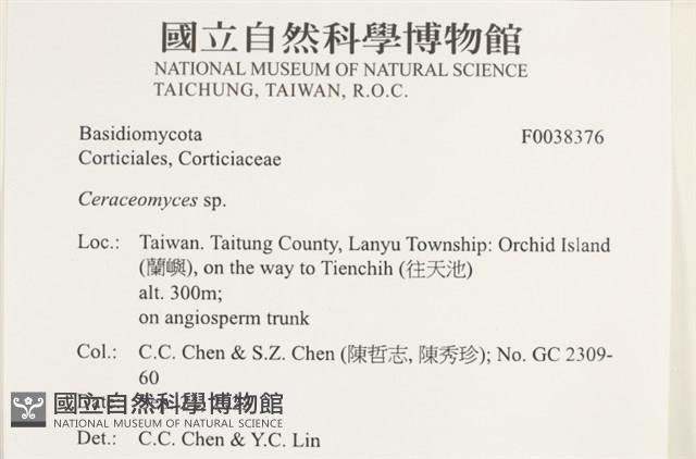 登錄號:F0038376藏品圖，第2張