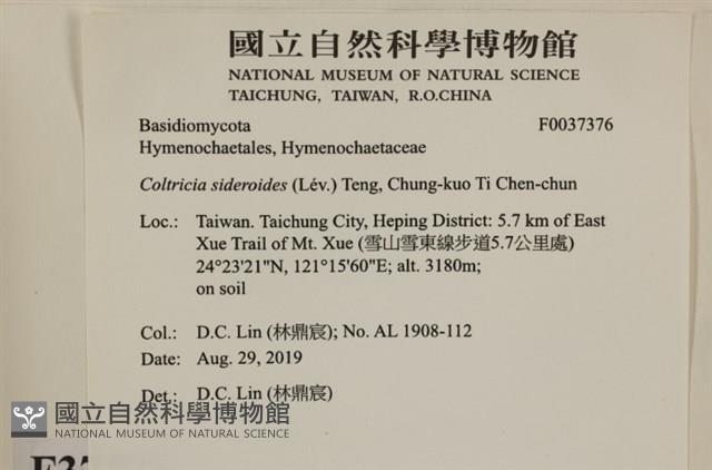 登錄號:F0037376藏品圖，第2張