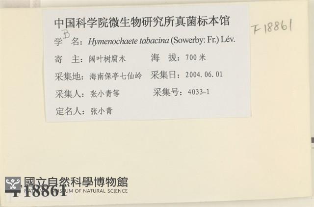 登錄號:F0018861藏品圖，第2張