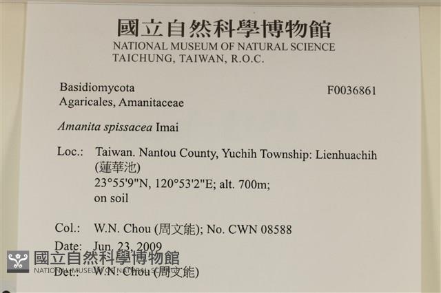 登錄號:F0036861藏品圖，第2張