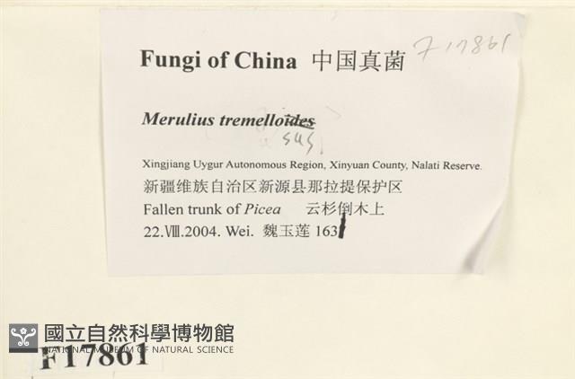 登錄號:F0017861藏品圖，第2張