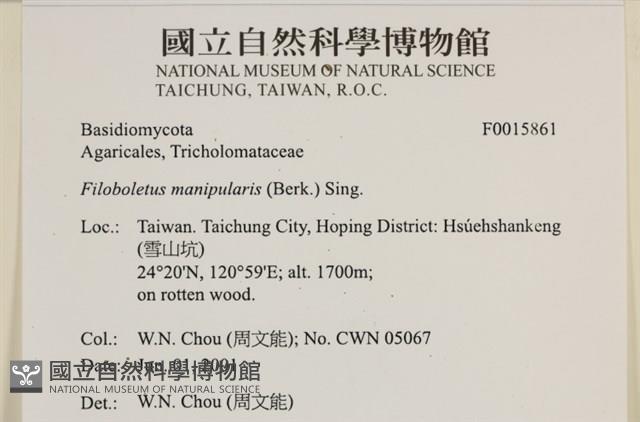 登錄號:F0015861藏品圖，第5張