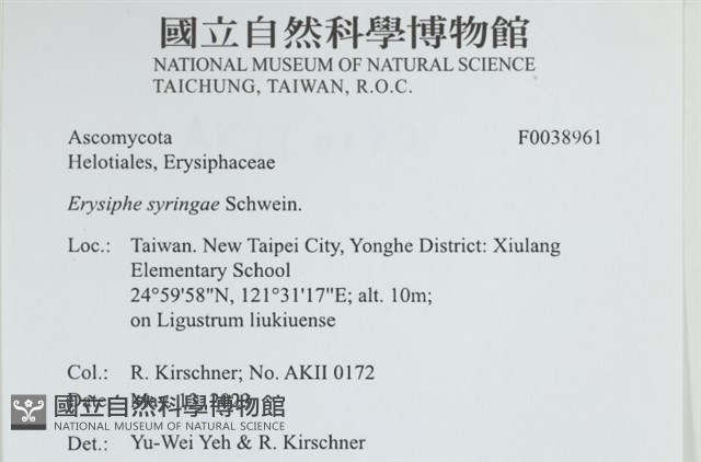 登錄號:F0038961藏品圖，第2張