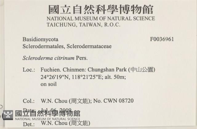 登錄號:F0036961藏品圖，第2張