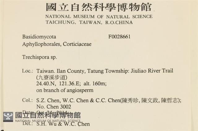 粗糙孢菌屬藏品圖，第2張