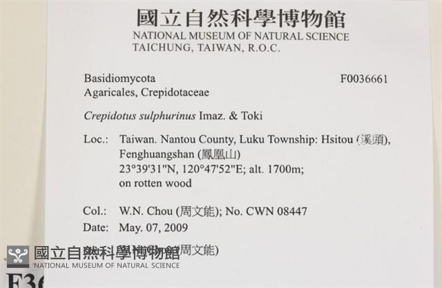 登錄號:F0036661藏品圖，第2張