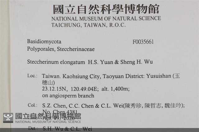 登錄號:F0035661藏品圖，第2張