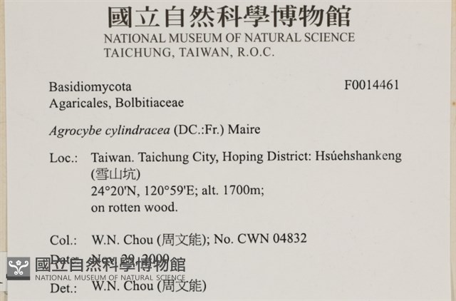 登錄號:F0014461藏品圖，第4張