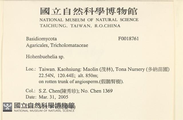 登錄號:F0018761藏品圖，第2張