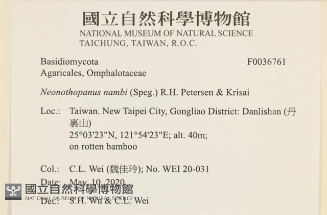 登錄號:F0036761藏品圖，第2張