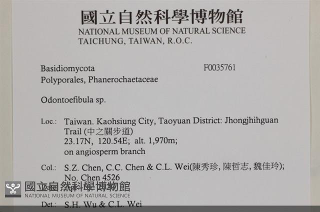 登錄號:F0035761藏品圖，第2張