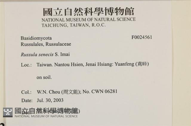 登錄號:F0024561藏品圖，第4張