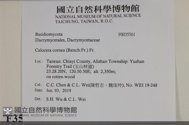 登錄號:F0035561藏品圖，第2張