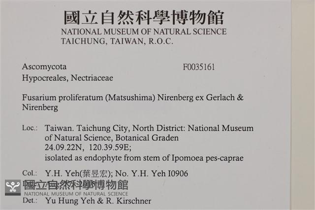 登錄號:F0035161藏品圖，第2張