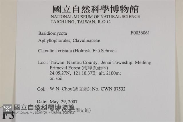 登錄號:F0036061藏品圖，第2張