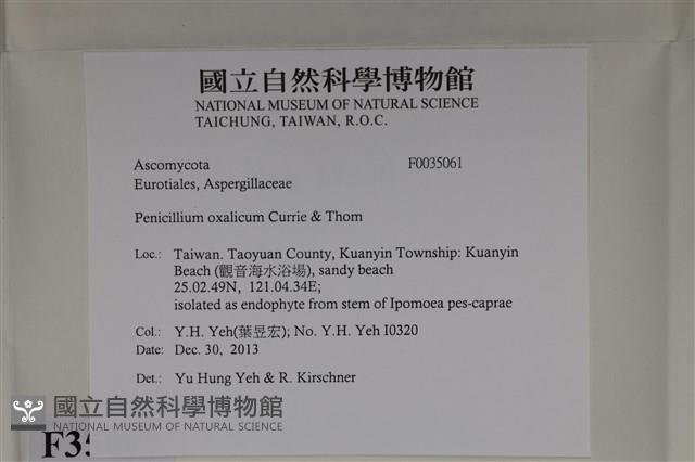 登錄號:F0035061藏品圖，第2張