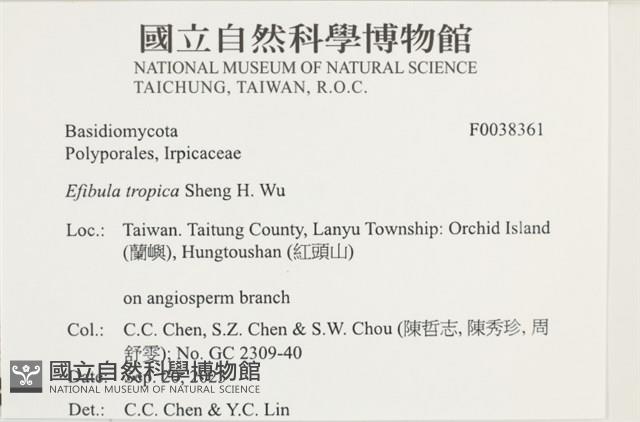 登錄號:F0038361藏品圖，第2張