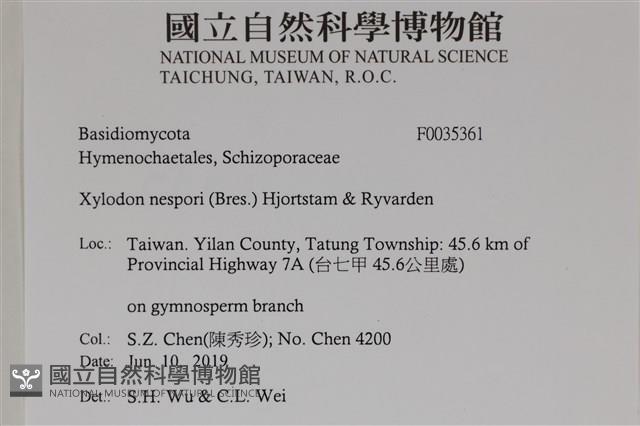 登錄號:F0035361藏品圖，第2張