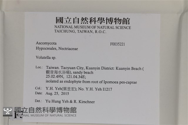 登錄號:F0035221藏品圖，第2張