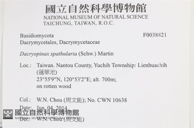 登錄號:F0038821藏品圖，第2張