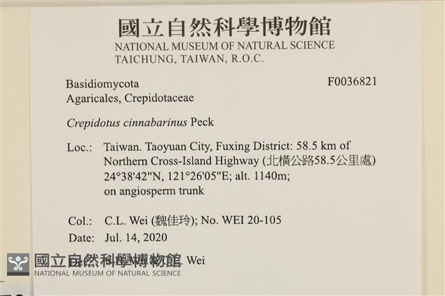 登錄號:F0036821藏品圖，第2張