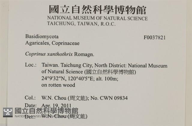 登錄號:F0037821藏品圖，第2張
